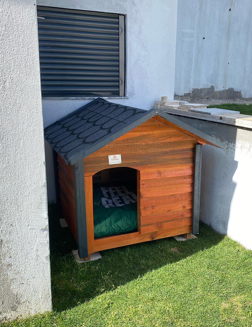 Orta Boy Köpek Kulübesi